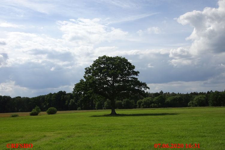 Neue-Land-Weg