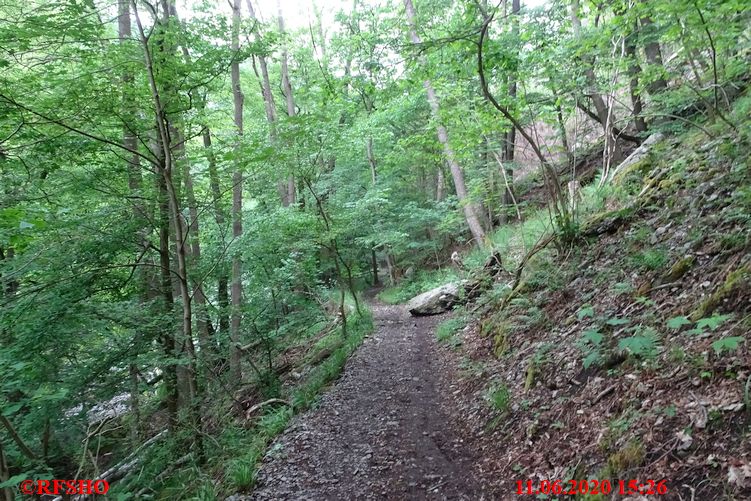 Wanderweg von Treseburg nach Thale im Bodetal