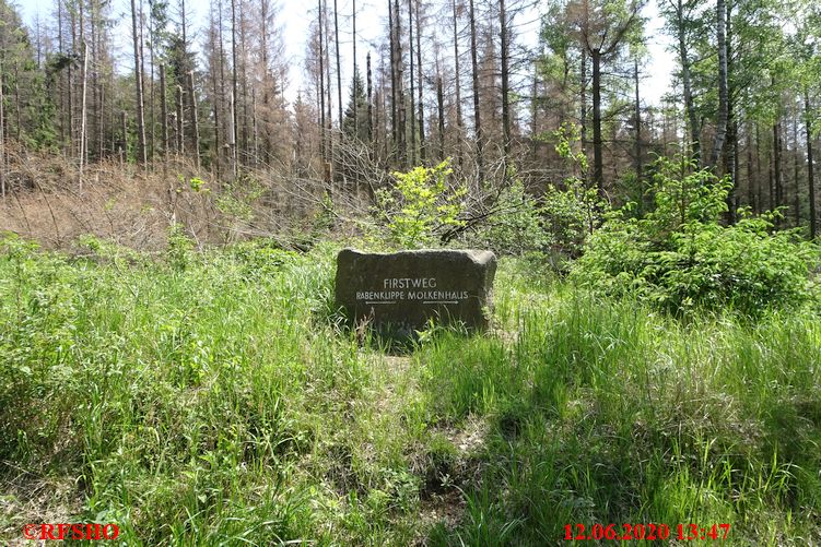 Harz, Firstweg − Rabenklippe − Molkenhaus