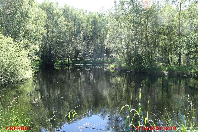 Teich in FA 154 Heidloh