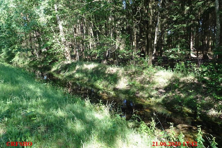 viel Wasser im Talgraben Zuckerlandweg