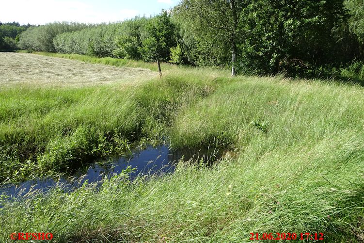 viel Wasser im Talgraben Zuckerlandweg