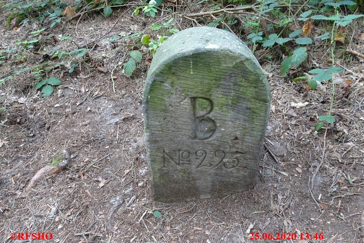 Wanderweg Burgruine Regenstein