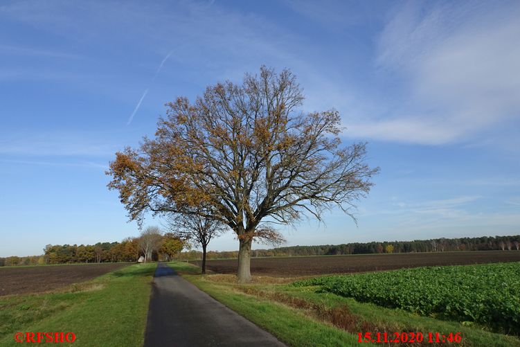 Schönewörde, Schützenstraße