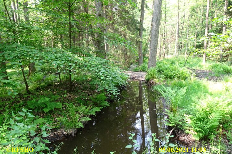 Momerbach im Kiekenbruch