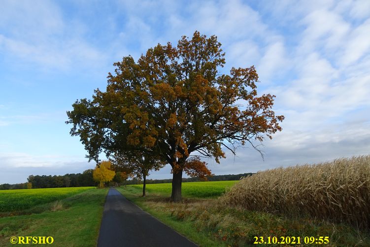 Marschstrecke, Schützenstraße