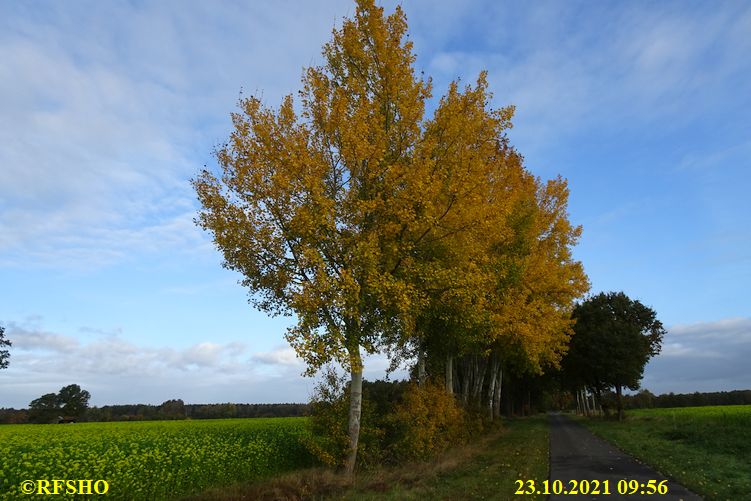 Marschstrecke, Schützenstraße