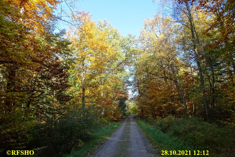 Marschstrecke, Kiekenbruch