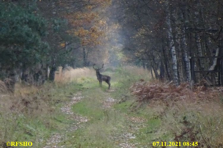 Marschstrecke, Moor