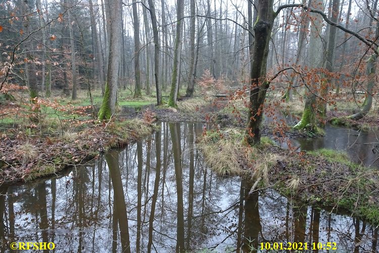 Marschstrecke am Momerbach