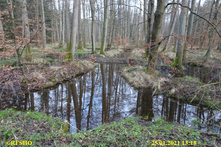 Marschstrecke am Momerbach