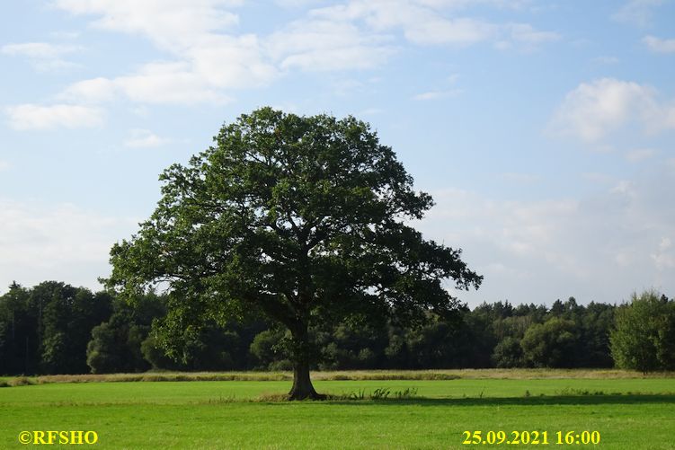 Marschstrecke, Eiche Neue-Land-Weg