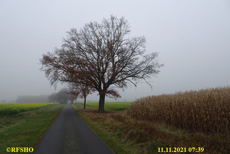 Marschstrecke, Schützenstraße