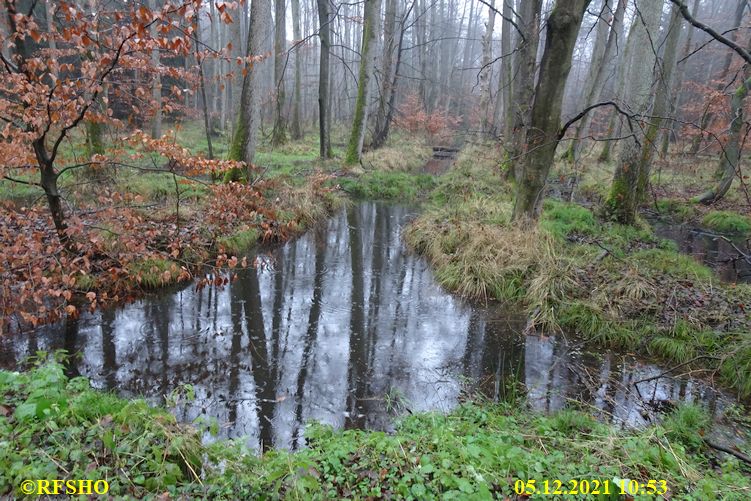 Marschstrecke, Kiekenbruch, Momerbach