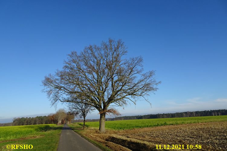 Marschstrecke, Eiche, Schützenstraße