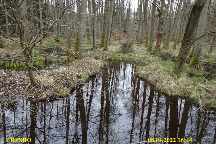 Marschstrecke, Kiekenbruch Momerbach