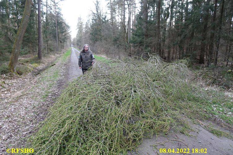 Marschstrecke, Großer Leu