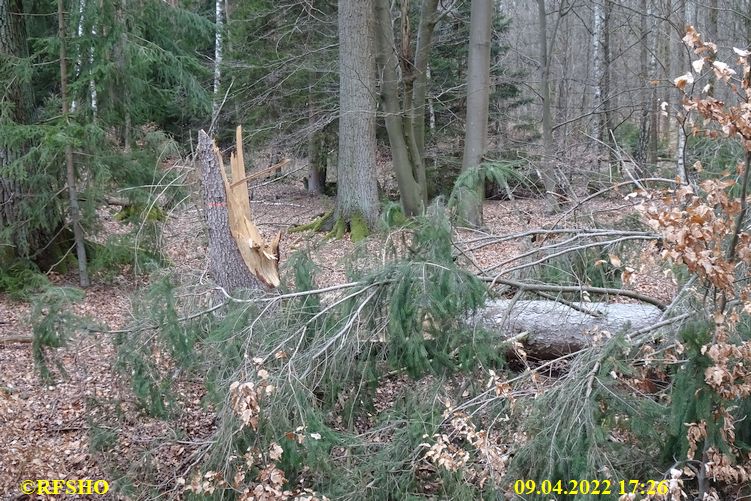 Marschstrecke, Großer Leu