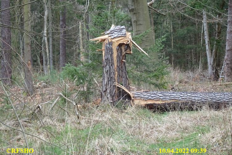 Marschstrecke, Kiekenbruch