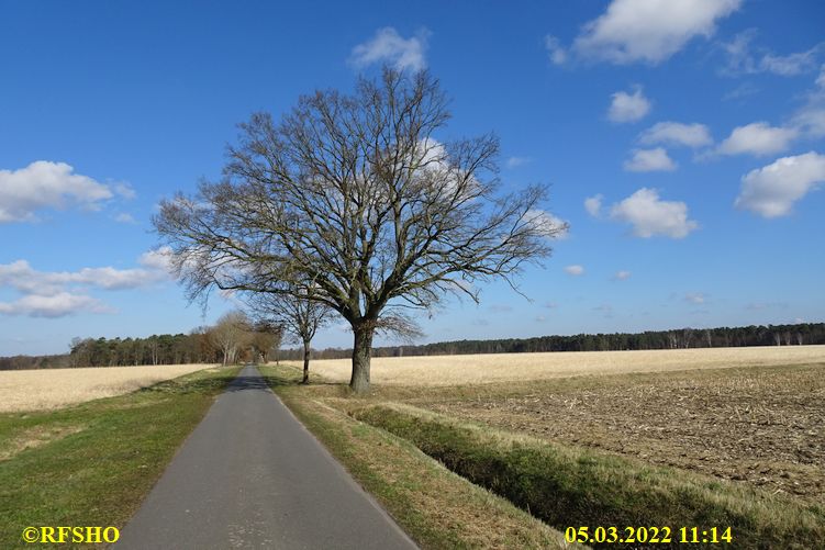 Marschstrecke, Schützenstraße