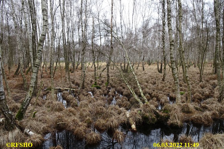 Marschstrecke durchs Moor