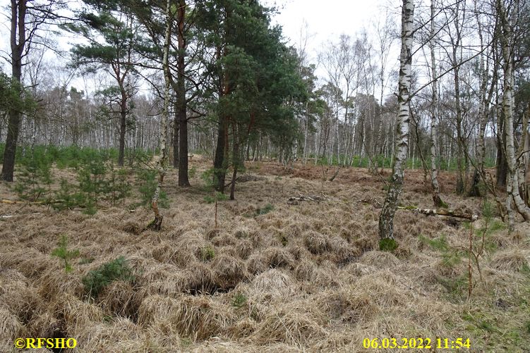 Marschstrecke durchs Moor