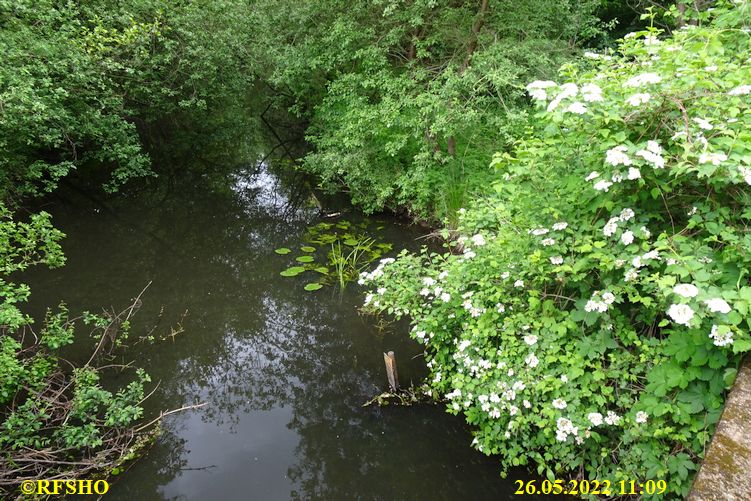 Ise, Hohe Brücke