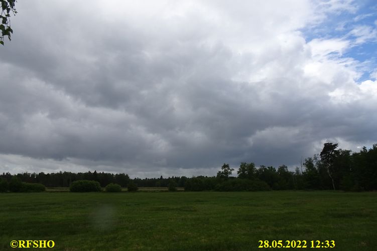 im Ochsenmoor