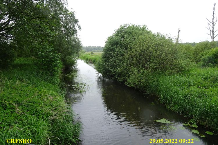 Ise, Lübingshorster Brücke