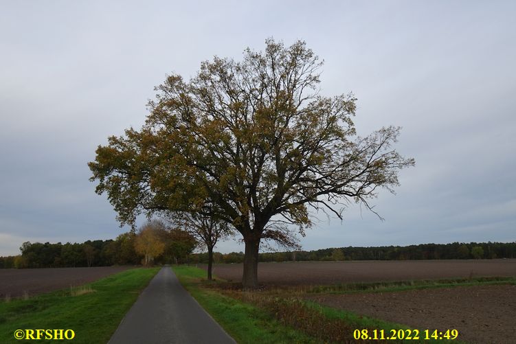 Marschstrecke, Schützenstraße