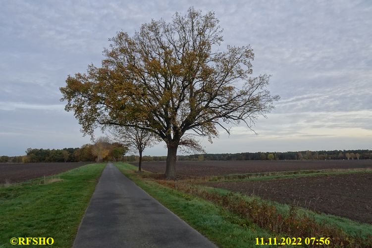 Marschstrecke, Schützenstraße