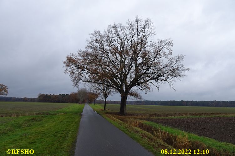 Marschstrecke, Schützenstraße