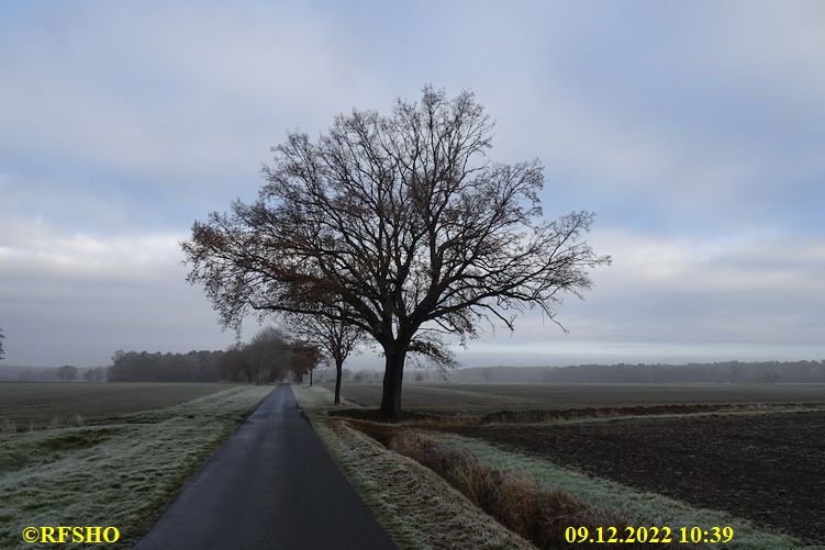 Marschstrecke, Schützenstraße