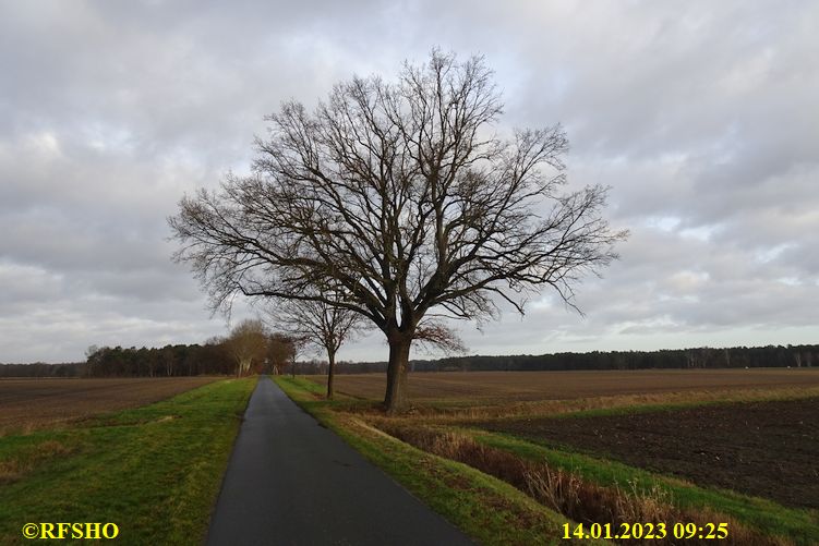 Marschstrecke, Schützenstraße