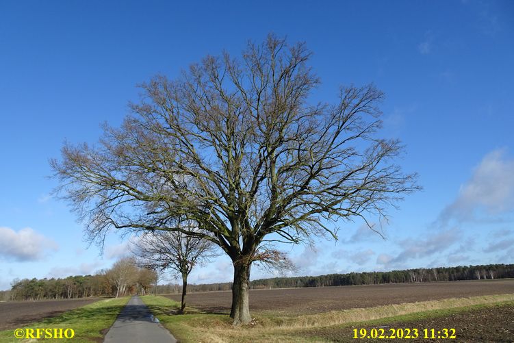 Marschstrecke, Schützenstraße