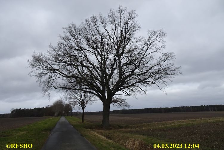 Marschstrecke, Schützenstraße