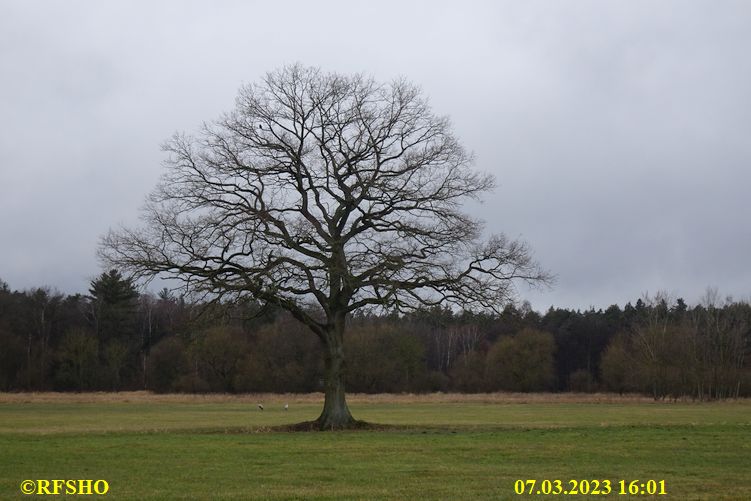 Marschstrecke, Eiche Neues Land Weg