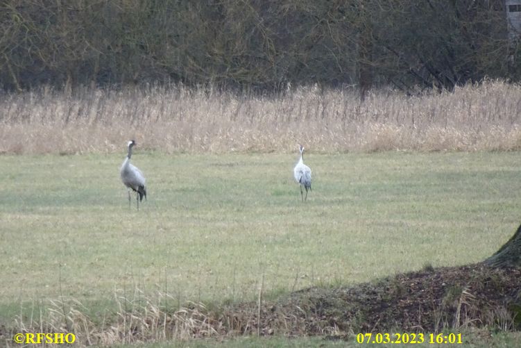 Marschstrecke, Eiche Neues Land Weg