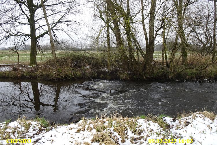 Ise, Lübingshorst Wiese