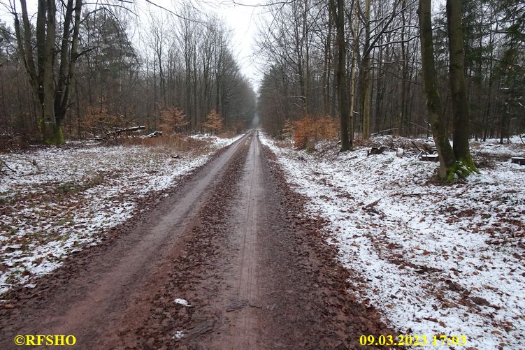 Marschstrecke, Großer Leu