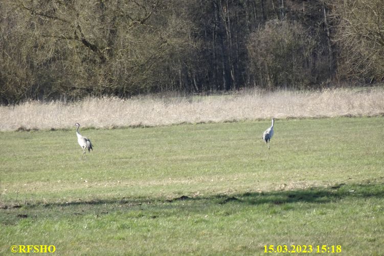 Marschstrecke, Eiche Neues Land Weg