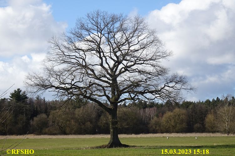 Marschstrecke, Eiche Neues Land Weg