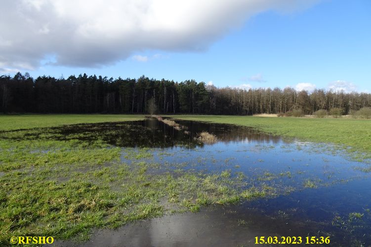 Lübingshorst Wiesen