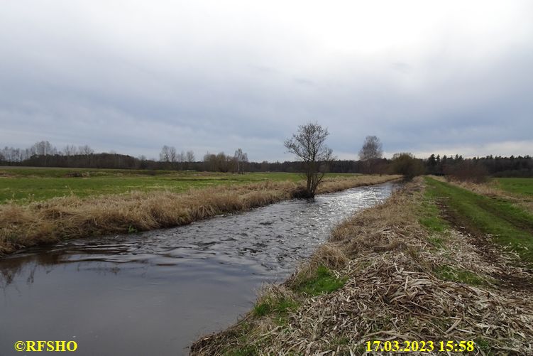 Lübingshorst Wiesen