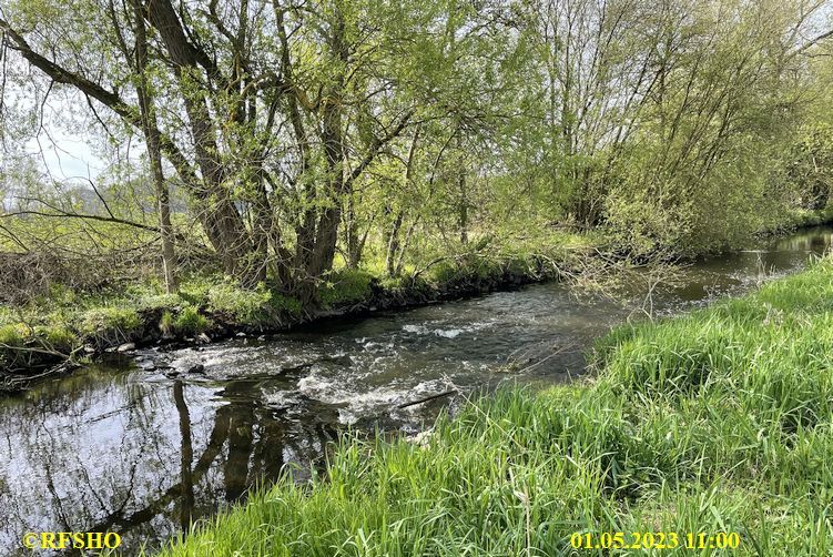 Ise, Lübingshorst Wiesen