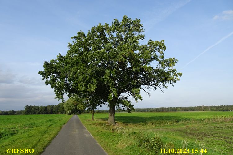 Marschstrecke, Schützenstraße