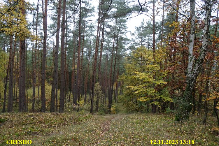 Marschstrecke Zichtau, Stakenberg 148,3 m