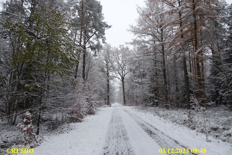 Marschstrecke, Großer Leu