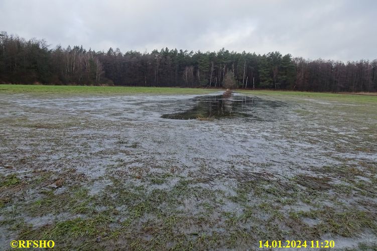 Lübingshorstwiesen