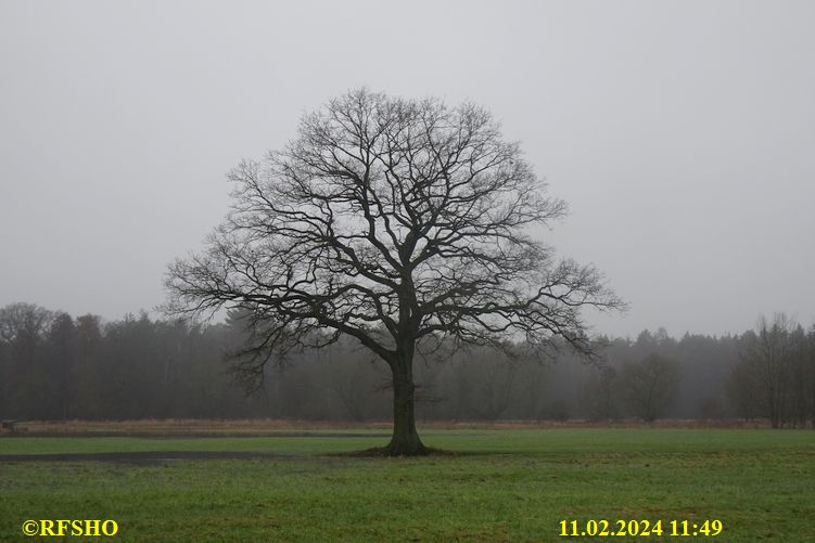 Marschstrecke, Eiche Neues Land Weg